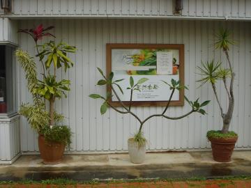 沖縄　天然香房