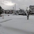 大雪