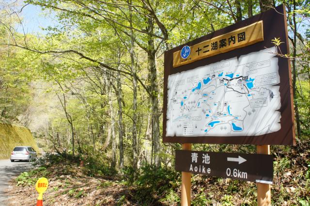 白神山地　十二湖