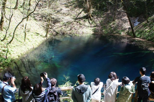 白神山地　青池　十二湖