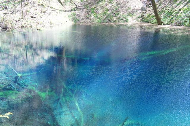 白神山地　青池　十二湖