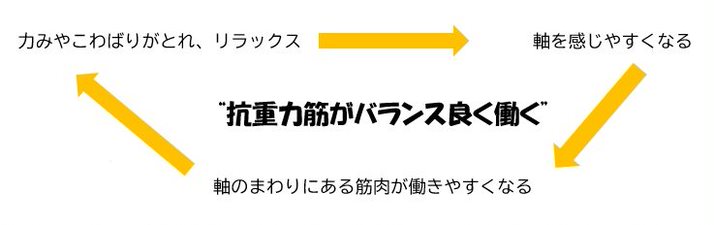 ヨガ解剖学　新潟県長岡市