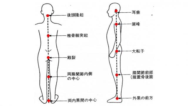 ヨガ解剖学　新潟県長岡市